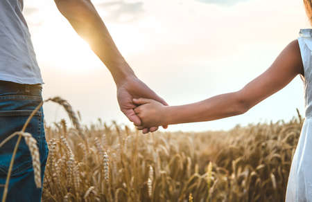 Child and father in a wheat field. Selective focus. Nature,の写真素材