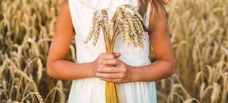 A child in a wheat field. Selective focus. Nature.の写真素材