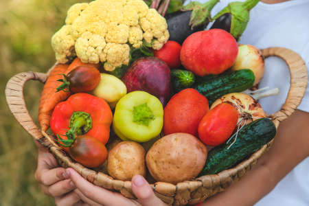 The child holds vegetables in his hands. Selective focus. Kid.の写真素材