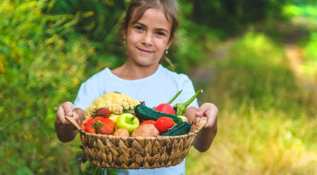 The child holds vegetables in his hands. Selective focus. Kid.の写真素材