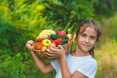 The child holds vegetables in his hands. Selective focus. Kid.の写真素材