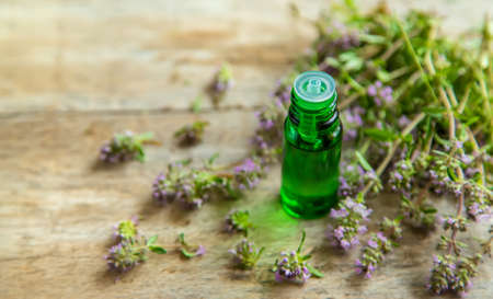 Thyme essential oil in a small bottle. Selective focus. Nature.の写真素材