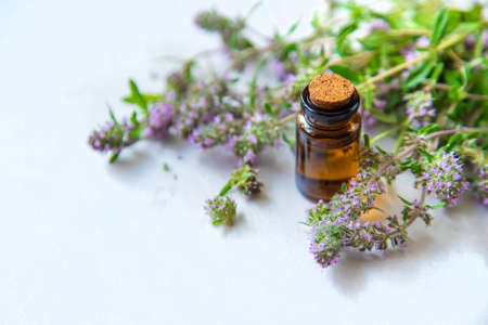 Thyme essential oil in a small bottle. Selective focus. Nature.の写真素材