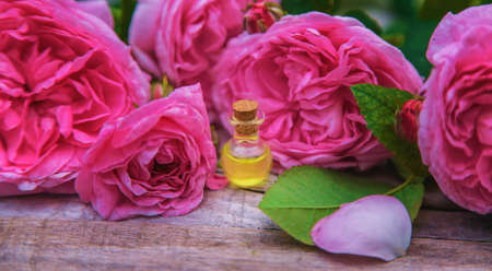 Rose essential oil in a small bottle. Selective focus. Nature.の写真素材