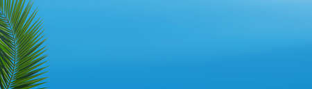 Palm leaves against the sky. Selective focus. Nature.の写真素材