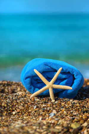Sea starfish on the beach. Selective focus. Travel.の写真素材