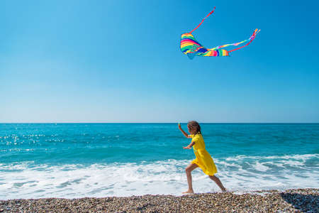 A child flies a kite on the beach. Selective focus. Kid.の写真素材