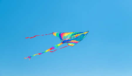 A child flies a kite on the beach. Selective focus. Kid.の写真素材