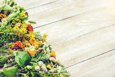Herbs in a mortar. Medicinal plants. Selective focus.の写真素材