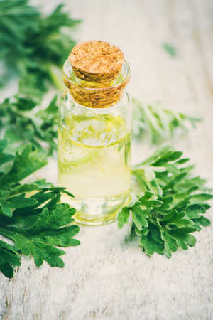 wormwood extract in a small jar. Selective focus.の写真素材