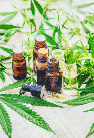 Cannabis herb and leaves for treatment broth, tincture, extract, oil. Selective focus.の写真素材