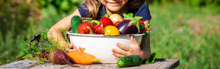 Child with vegetables in the garden. selective focus. food.の写真素材