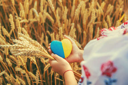 child in a wheat field. In vyshyvanka, the concept of the Independence Day of Ukraine. selective focus. kid.の写真素材