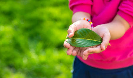 Children take care of nature tree in their hands. selective focus. kid.の写真素材