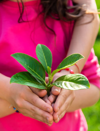 Children take care of nature tree in their hands. selective focus. kid.の写真素材