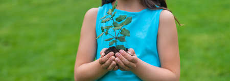 The child holds the plant and soil in his hands. selective focus. kid.