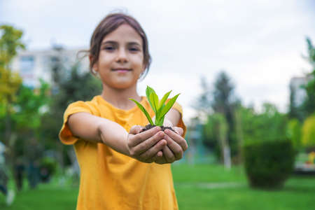 The child holds the plant and soil in his hands. selective focus. kid.の写真素材