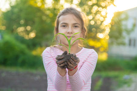 The child is planting a plant in the garden. selective focus. kid.