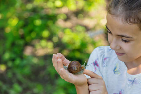 The child examines the snails on the tree. Selective focus.の写真素材