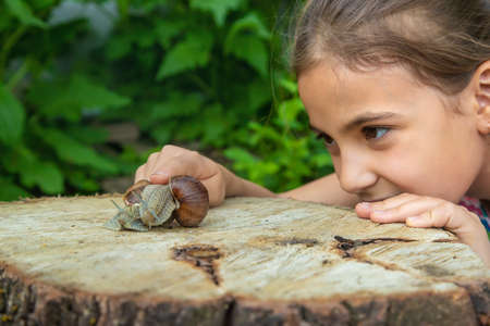 The child examines the snails on the tree. Selective focus.の写真素材