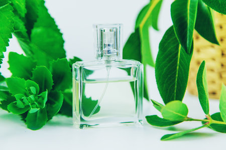 Perfume and cosmetics with green leaves. Selective focus.の写真素材