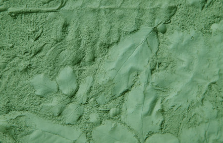 Leaves imprint on green powder. Natural cosmetic. Selective focus.の写真素材