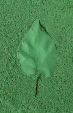 Leaves imprint on green powder. Natural cosmetic. Selective focus.