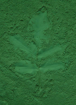 Leaves imprint on green powder. Natural cosmetic. Selective focus.の写真素材