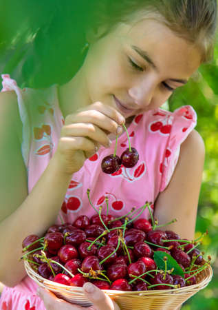 A child harvests cherries in the garden. Selective focus.の写真素材