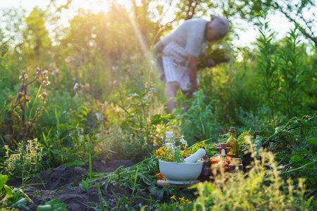 An old woman collects medicinal herbs. Selective focus.の写真素材