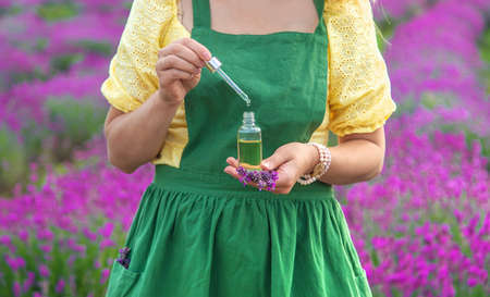 A woman collects lavender flowers for essential oil. selective focus. Nature.の写真素材