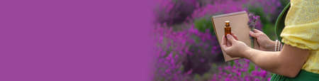 A woman collects lavender flowers for essential oil. selective focus. Nature.の写真素材