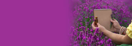 A woman collects lavender flowers for essential oil. selective focus. Nature.の写真素材