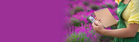A woman collects lavender flowers for essential oil. selective focus. Nature.の写真素材