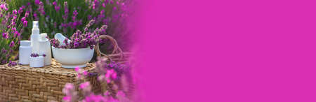 Lavender cosmetics in a field with flowers. selective focus. Nature.の写真素材