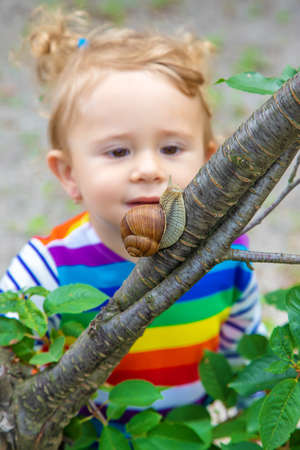 The child looks at the snail. Selective focus.の写真素材