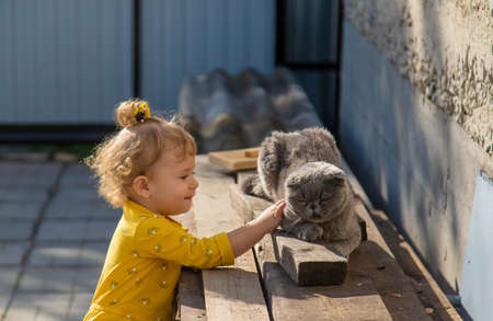 The child plays with the cat. selective focus. Baby.の写真素材