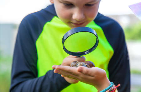 The child looks at the snail. selective focus. Animal.の写真素材