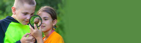 The child looks at the snail. selective focus. Animal.の写真素材