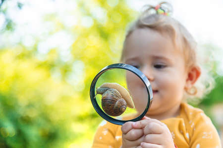 The child looks at the snail. selective focus. Animal.の写真素材