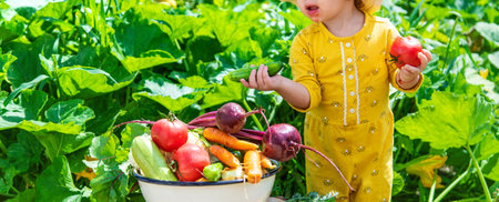 Child in the vegetable garden. selective focus. kid.の写真素材