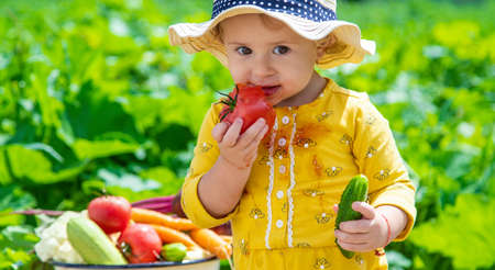 Child in the vegetable garden. selective focus. kid.の写真素材