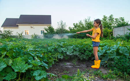 The child is watering the garden with a hose. selective focus. Nature.の写真素材
