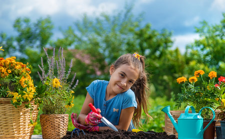 The child is planting flowers in the garden. selective focus. kid.の写真素材