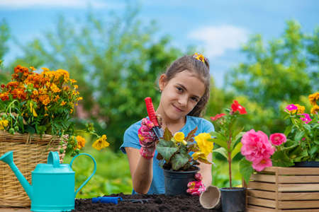 The child is planting flowers in the garden. selective focus. kid.の写真素材