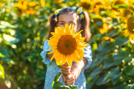 A child in a field of sunflowers. Ukraine. selective focus. Nature.の写真素材