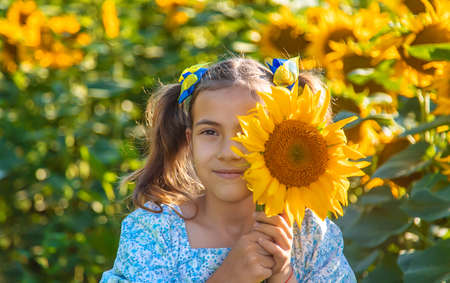 A child in a field of sunflowers. Ukraine. selective focus. Nature.の写真素材
