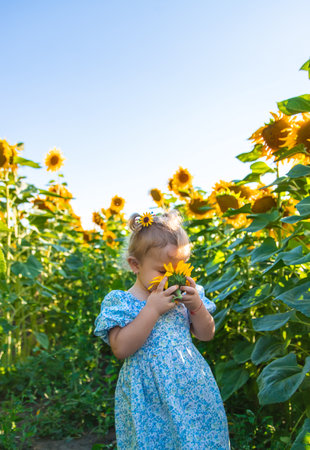 A child in a field of sunflowers. Ukraine. selective focus. Nature.の写真素材