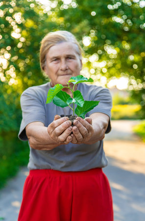 Grandmother is planting a tree in the garden. selective focus. Nature.の写真素材