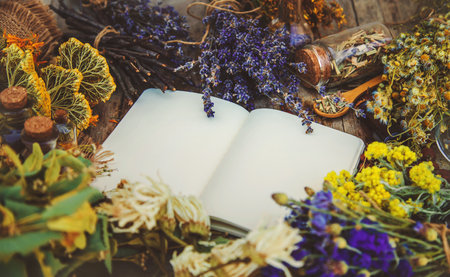 Medicinal herbs and tinctures homeopathy. selective focus. Nature.の写真素材